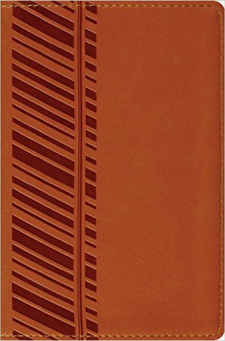ESV Compact Bible (TruTone, Orange, Track Design)