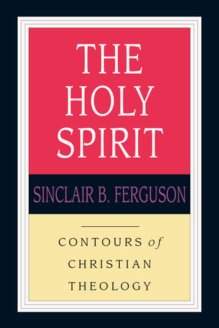 The Holy Spirit: Contours of Christian Theology
