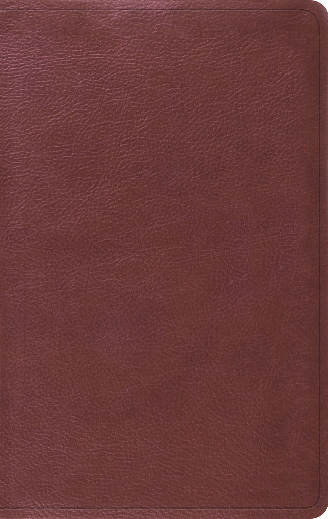 ESV Value Thinline Bible TruTone®, Burgundy