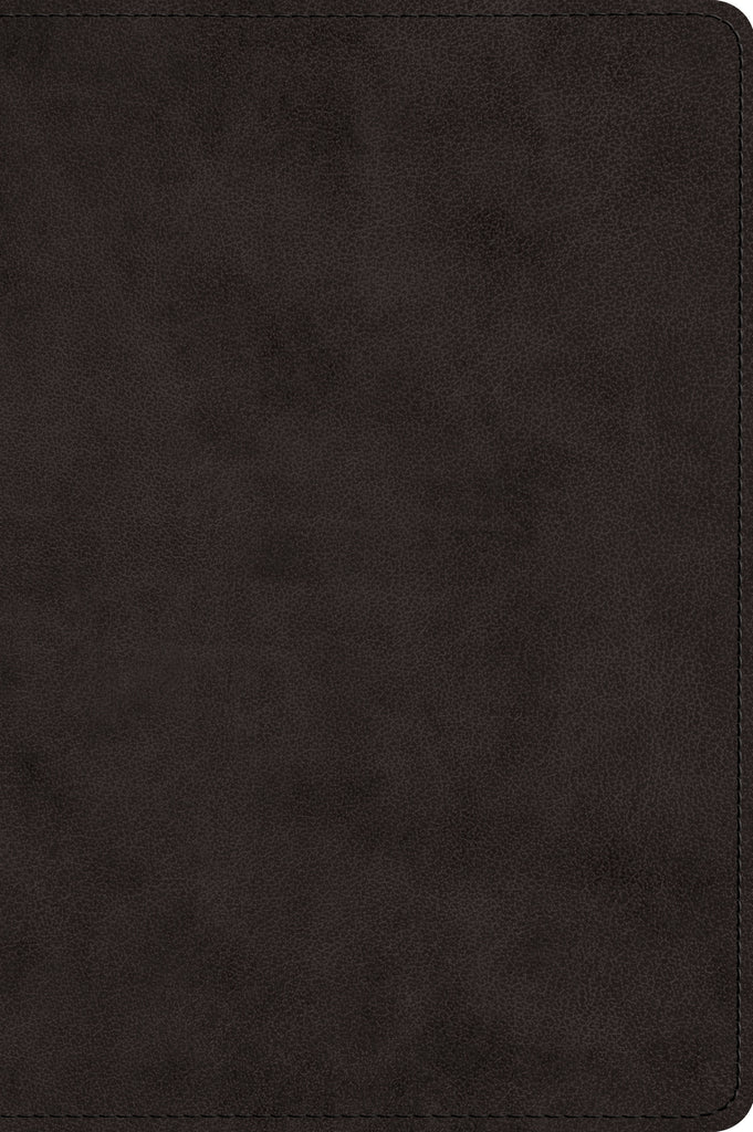 ESV Large Print Bible TruTone®, Black