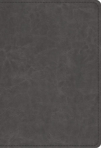 ESV Student Study Bible  TruTone®, Gray