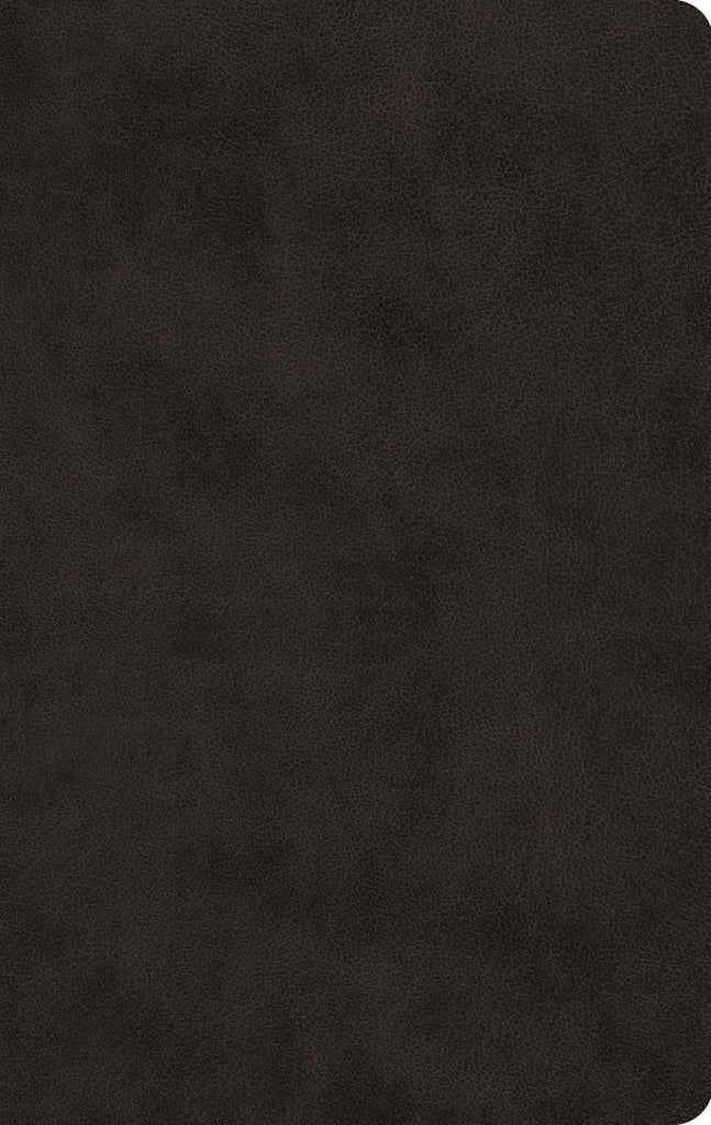 ESV Large Print Value Thinline Bible (TruTone®, Black)