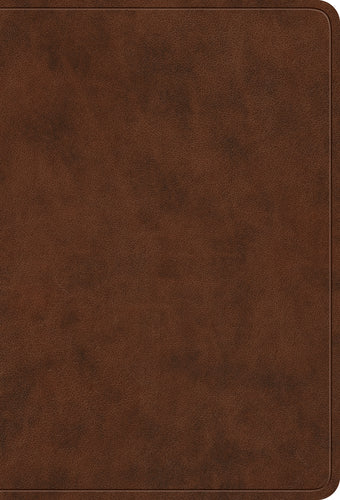 ESV Value Large Print Compact Bible  TruToneĀ®, Brown