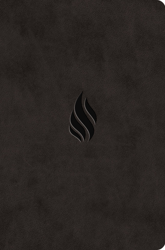 ESV Value Compact Bible TruTone®, Midnight, Flame Design