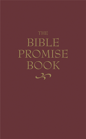The Bible Promise Book (KJV)
