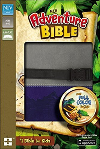 NIV Adventure Bible (Gray/Blue)