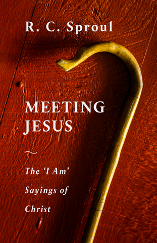 Meeting Jesus The 'I Am' Sayings of Christ