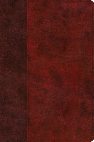 ESV Gospel Transformation Study Bible: Christ in All of Scripture, Grace for All of Life  (TruTone®, Burgundy/Red, Timeless Design)