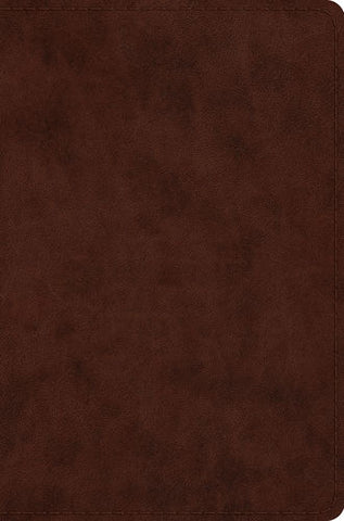 ESV Compact Bible TruTone®, Brown