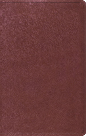 ESV Value Thinline Bible  TruTone®, Burgundy