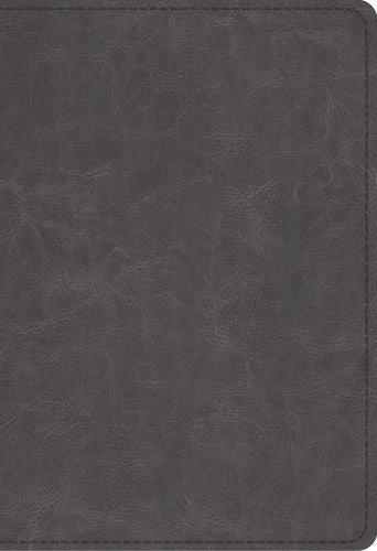 ESV Student Study Bible  TruTone®, Gray