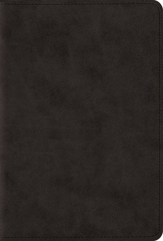 ESV Large Print Compact Bible TruTone®, Black