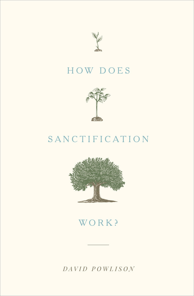 How Does Sanctification Work? By David Powlison