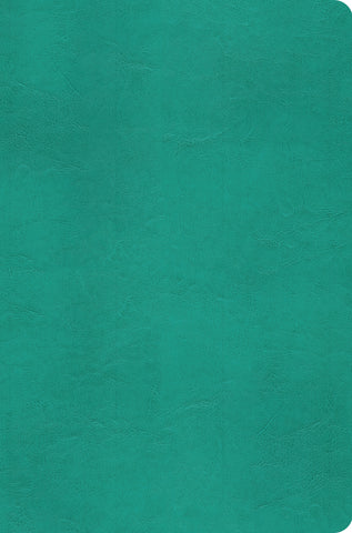 ESV Value Compact Bible  TruTone®, Turquoise