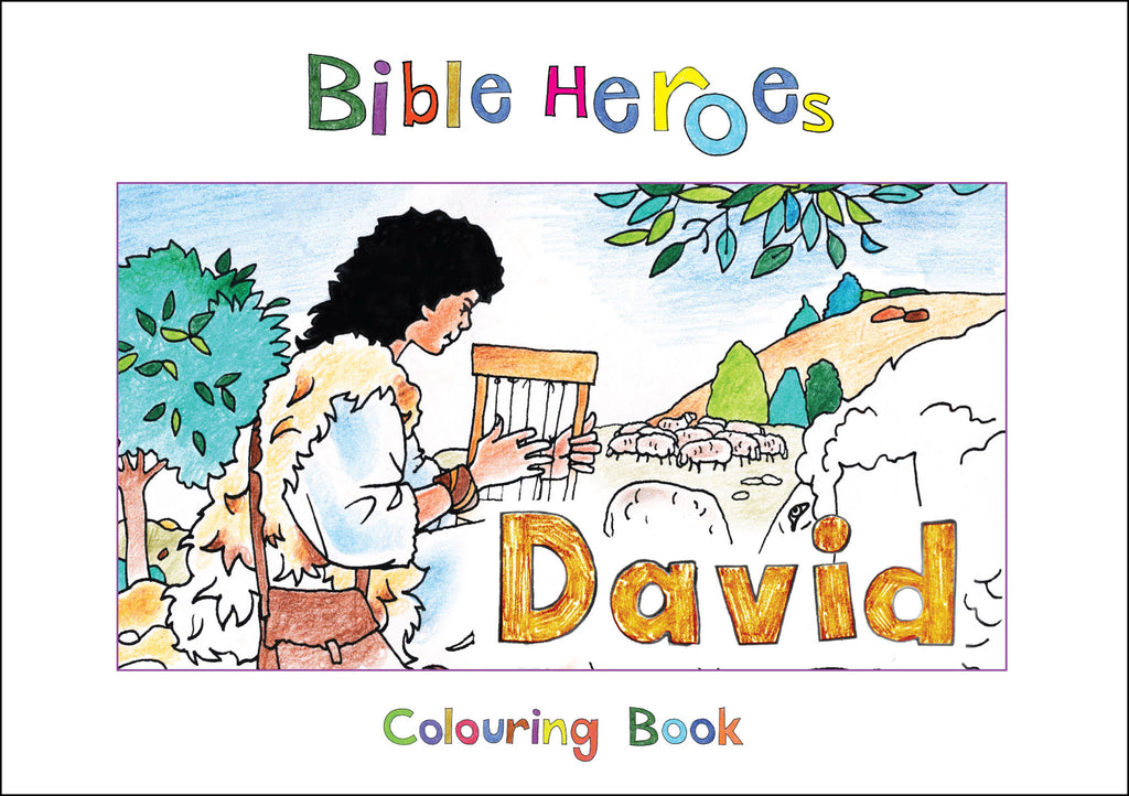 Bible Heroes: David (Bible Art)