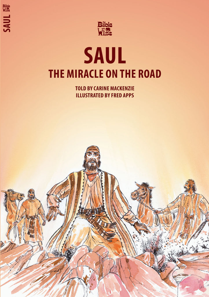 Saul: The Miracle on the Road (Bible Wise)