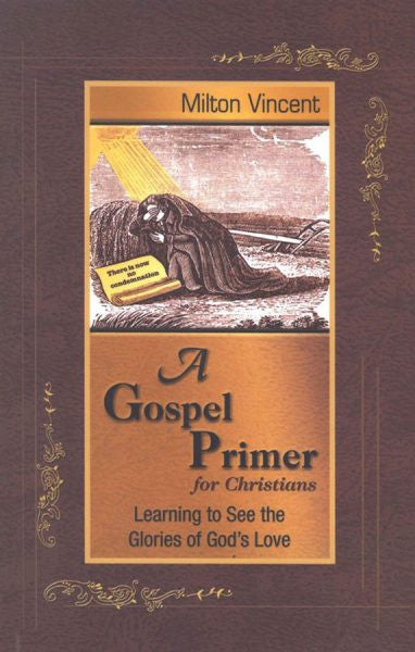 A Gospel Primer for Christians: Learning to See the Glories of God's Love