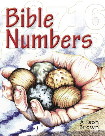 Bible Numbers: Introducing Little Children to Simple Bible Truths