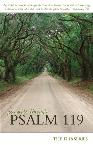 Journible through Psalm 119 - The 17:18 Series