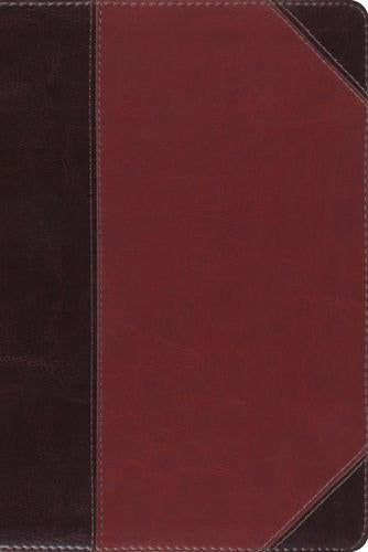 ESV Study Bible, Personal Size, (Brown/Cordovan/Portfolio Design)