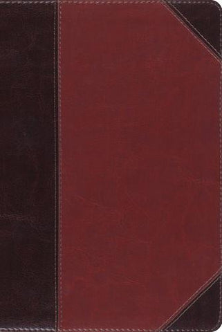 ESV Study Bible, Personal Size, (Brown/Cordovan/Portfolio Design)