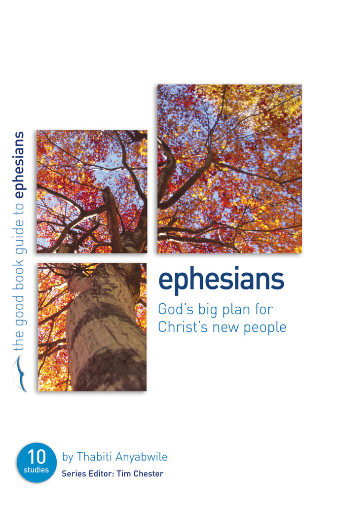 Ephesians: God's Big Plan for Christ's New People