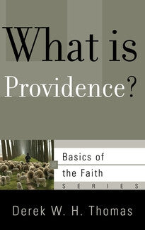 What is Providence?  (Basics of the Faith Series)