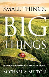 Small Things, Big Things:  Inspiring Stories of Everyday Grace